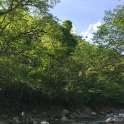 エデン60を使ってきました