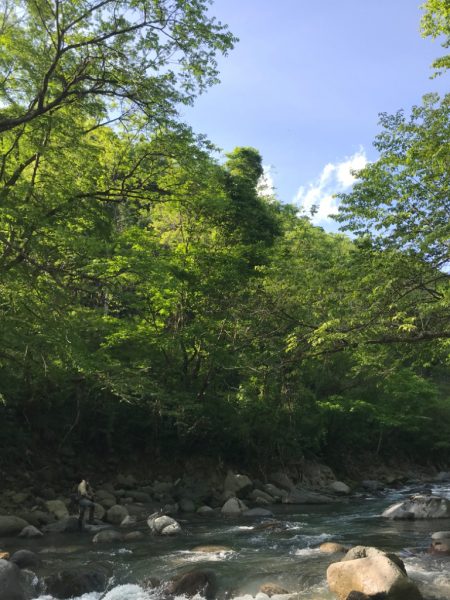 エデン60を使ってきました