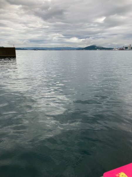 今シーズン初アオリ!記録更新!