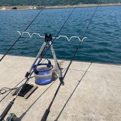 キスはまだ早かったかな？