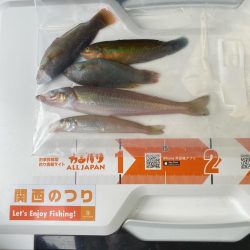 ゴールデンウィーク後半、2回目の釣行で、深…