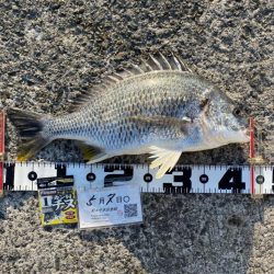 魚が浮いてもタモに入るまで　DAY2