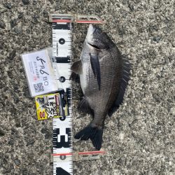 微妙なアタリ DAY1