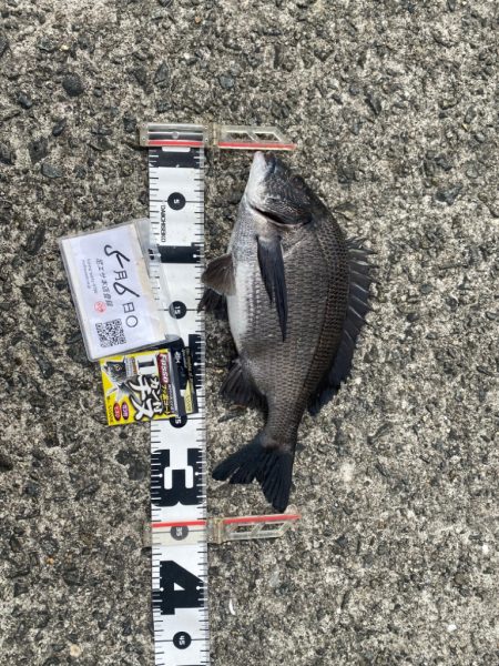 微妙なアタリ DAY1