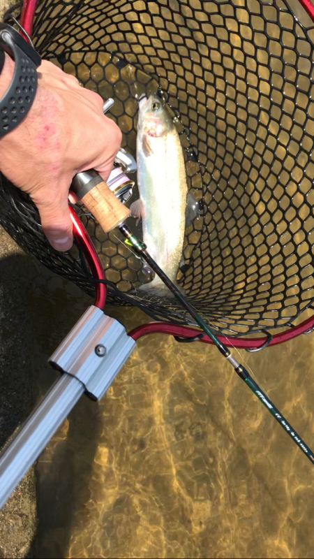 熱々エリアトラウト！