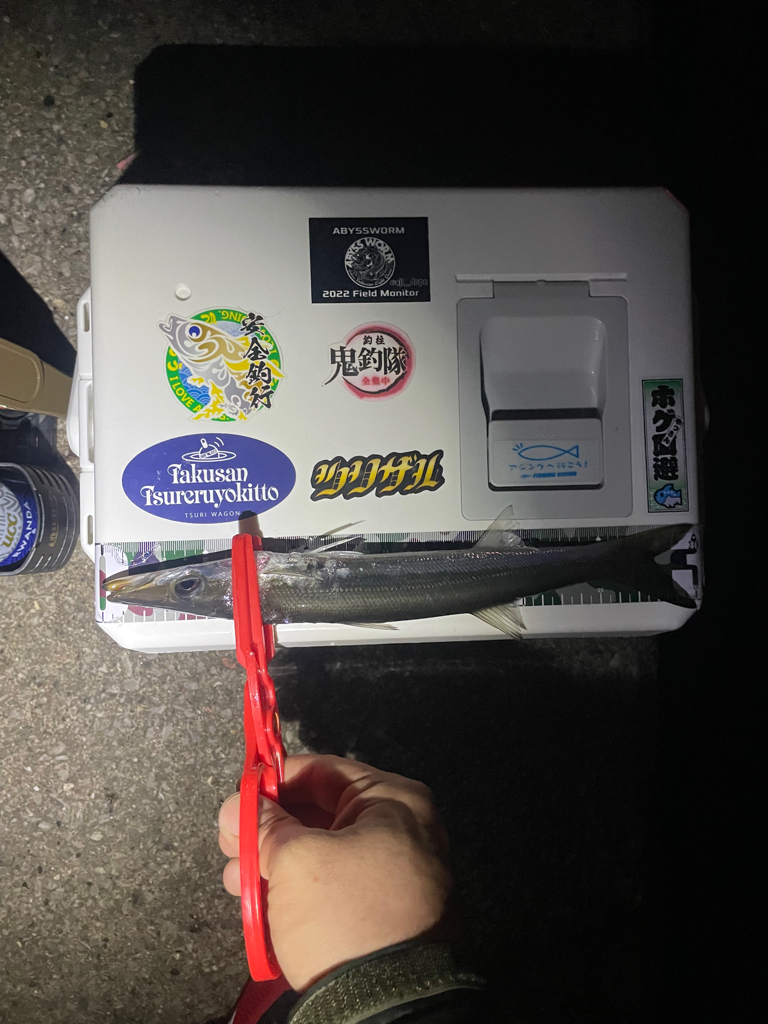 カマス狙いで初遠征