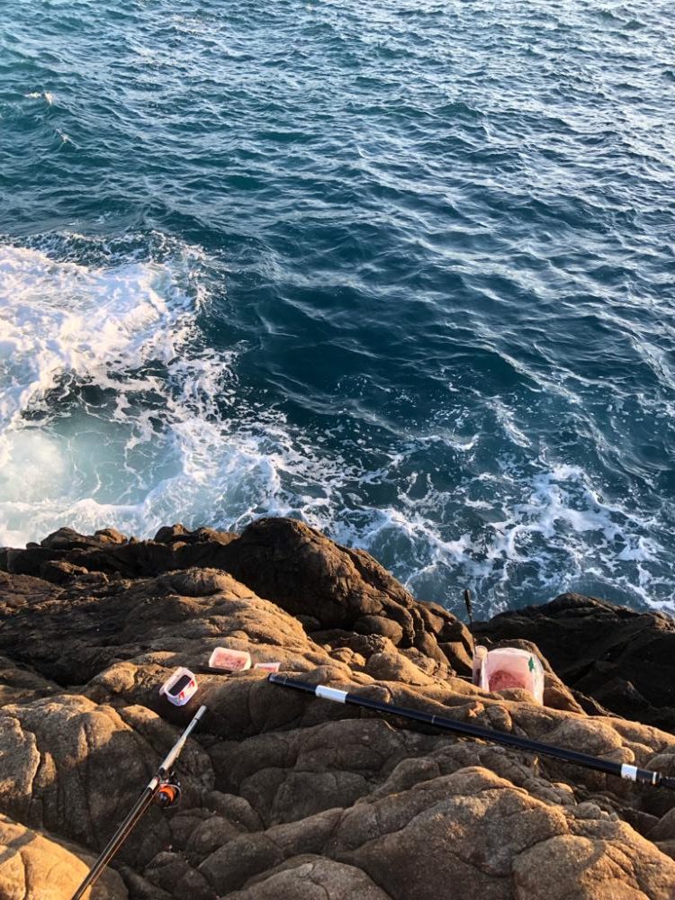 梅雨グレ 磯釣り
