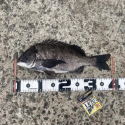 強い魚の引きもトラブル無しの釣果