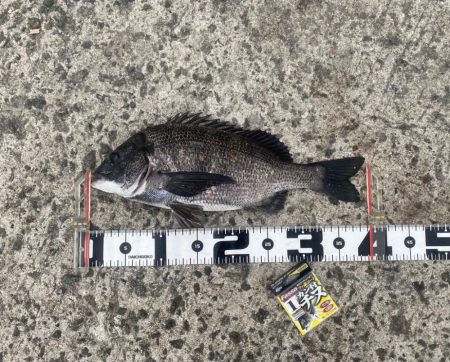 強い魚の引きもトラブル無しの釣果