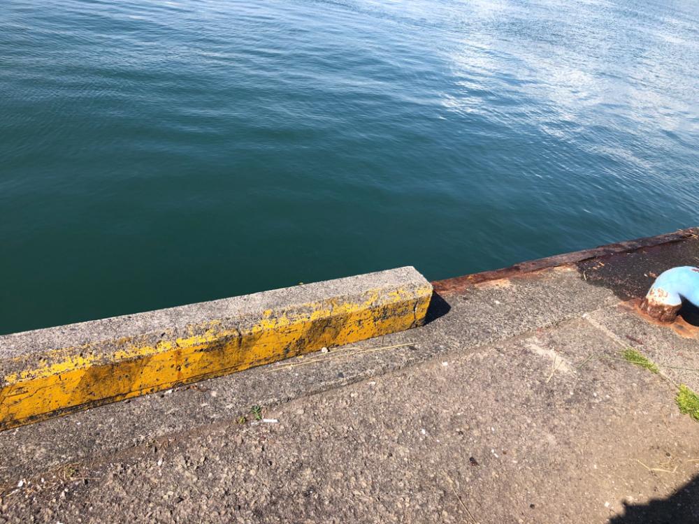 トリックサビキからのヒラメ！