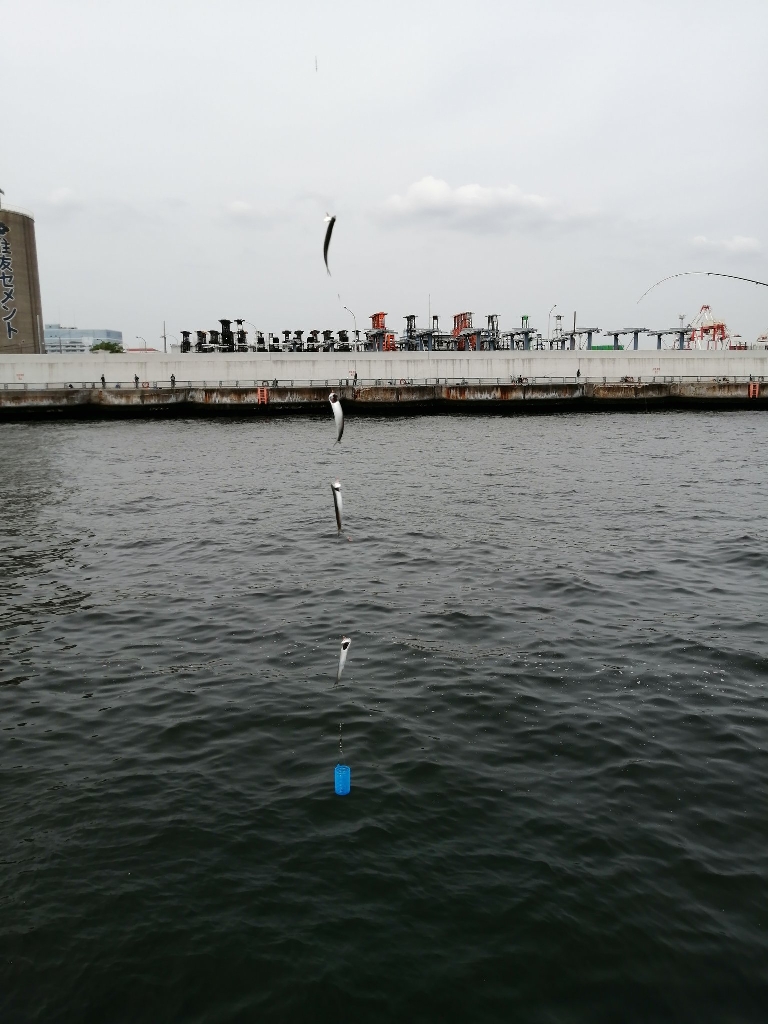 潮に揉まれた日