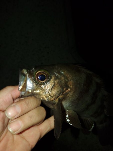 フロートゲーム