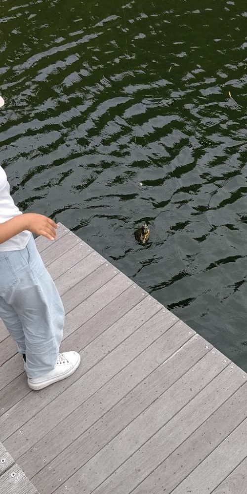 26振りのブラックバス