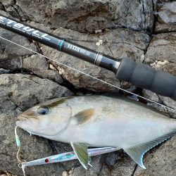 ロックショアマグロ&カンパチ