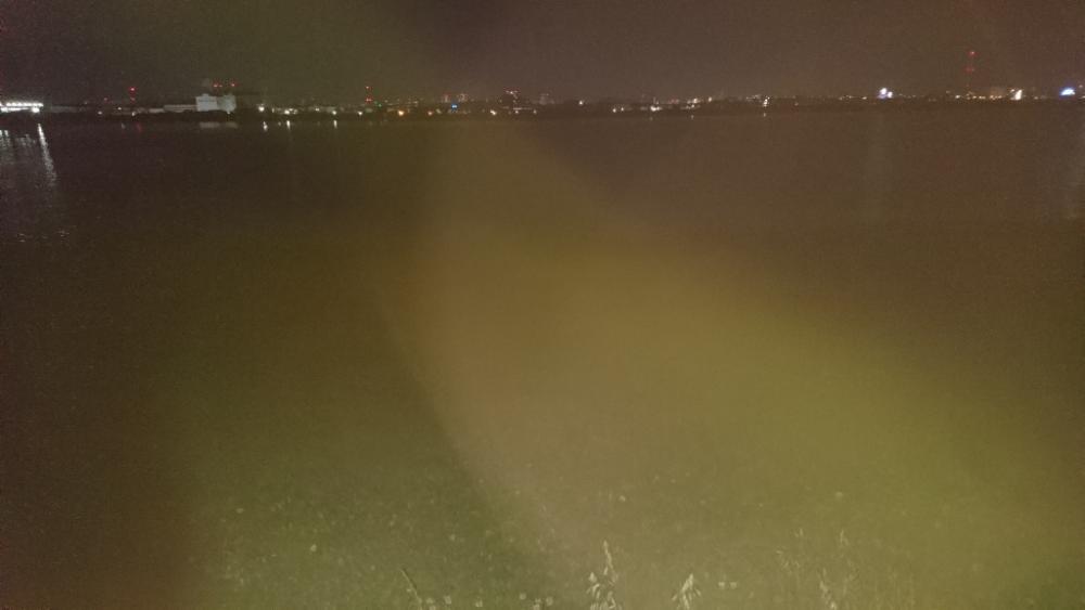 安定のチニング