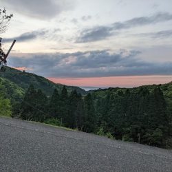 アジングに行きましたが…
