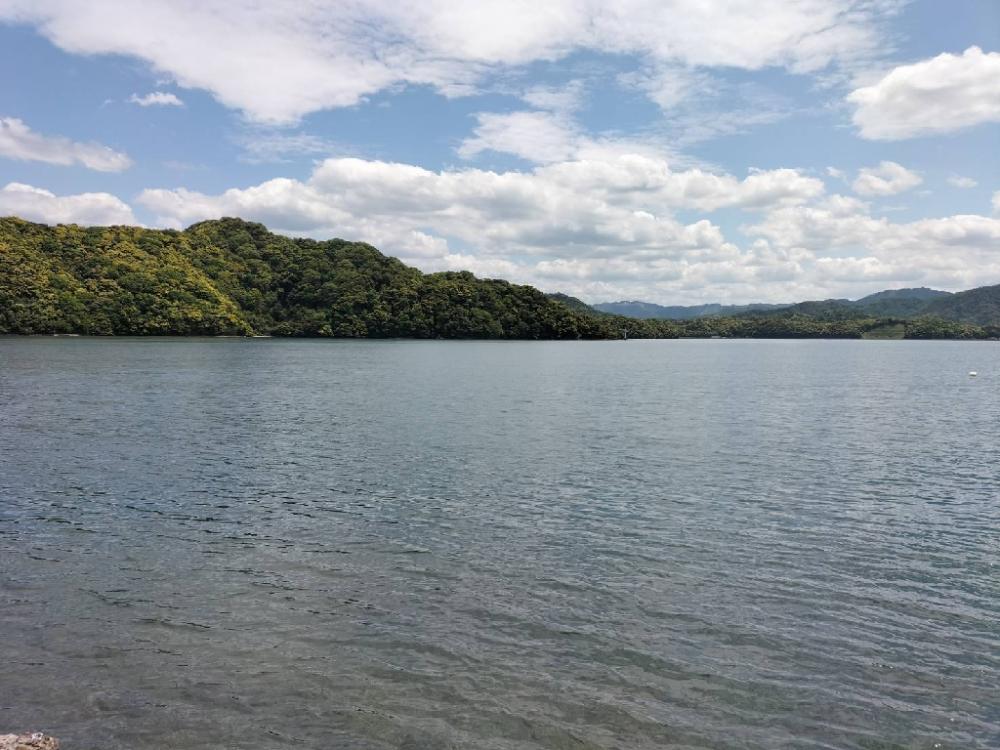 なかなか釣果が…