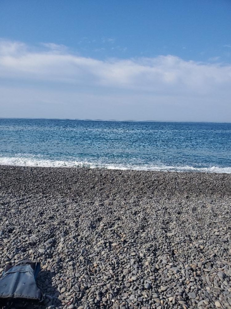 エサ釣りに叶うものなし…