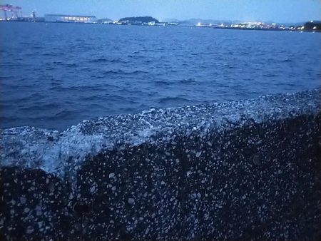 陸っぱりタチウオ