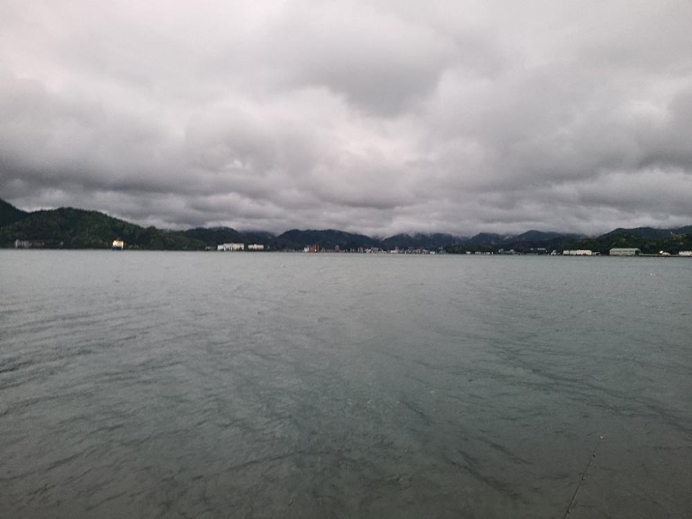 久しぶりの好釣果!