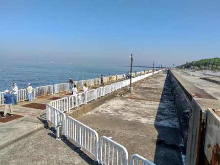 南港うみ釣り園 護岸で☆