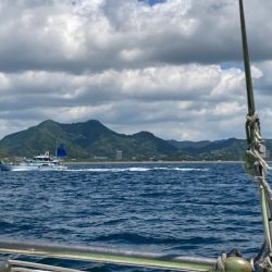 アジ・イサキリレー