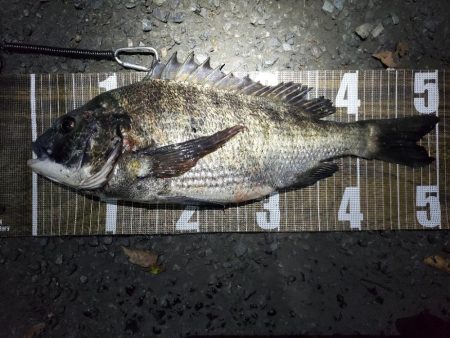 まさかの外道Σ(ﾟдﾟ；)