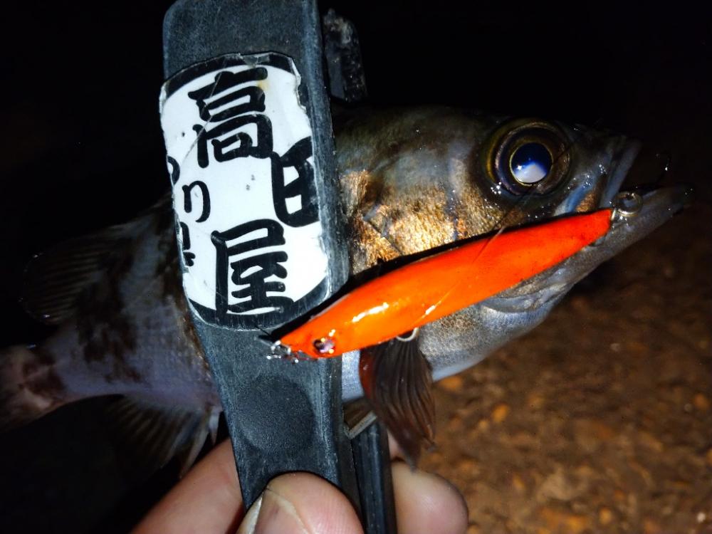 今夜はオレンジ