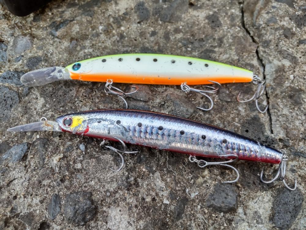 ショアプラッキング