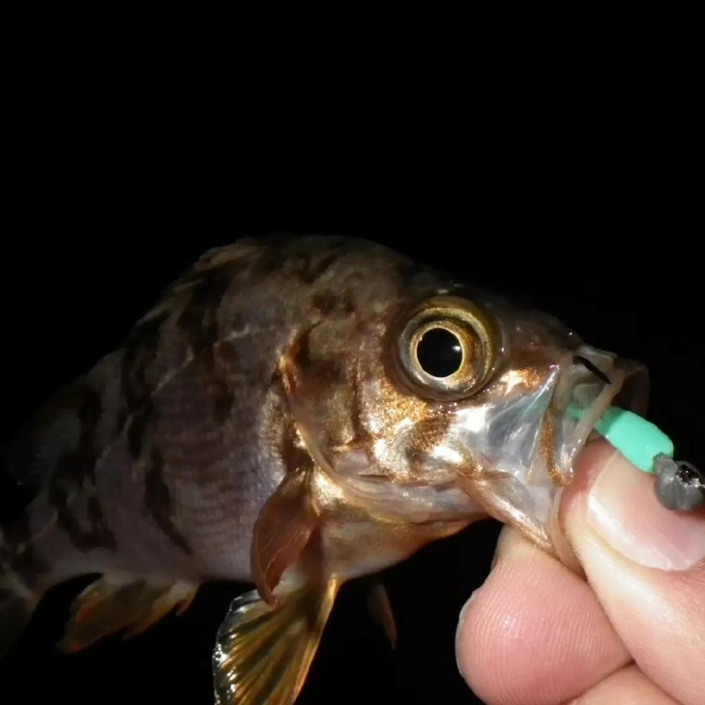 ハッピーアイランドIN淡路島