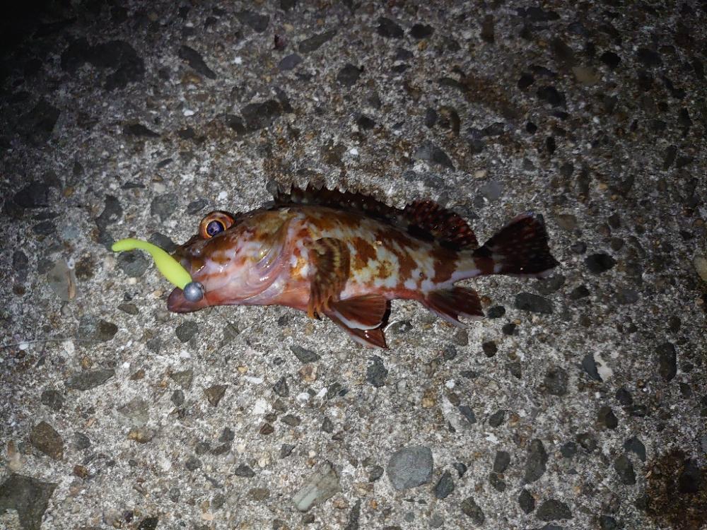 癒しのライトゲーム