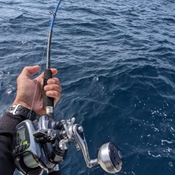 鷹巣沖　マダイ釣り