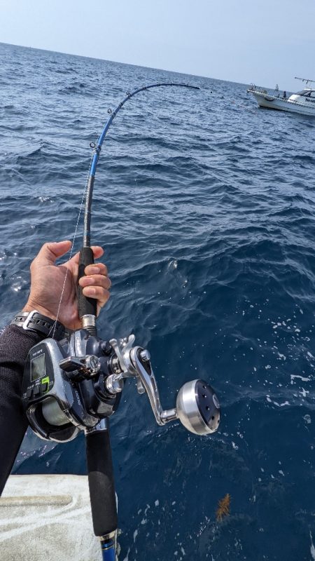 鷹巣沖　マダイ釣り