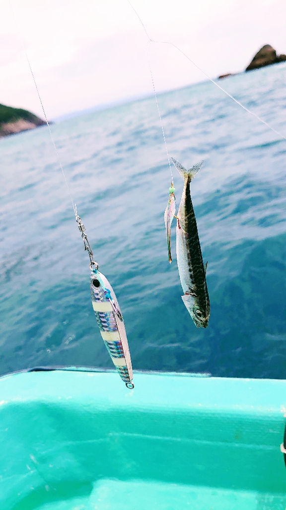 レンタルボート