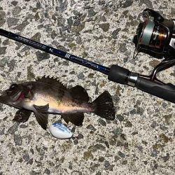 満月大潮の満潮前後メバリングは足元でボチボチ