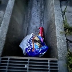 清掃活動：イワシっこ2