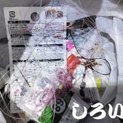 清掃活動：広く探ってきました。