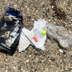 清掃活動：当たったブラクリでカンダイゲット…