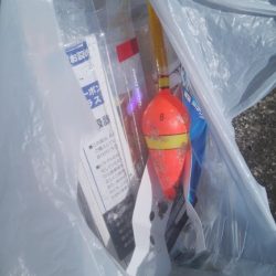 清掃活動：15匹Get＞°))))彡大漁