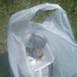 清掃活動：楽しい(^^)キビレ