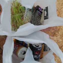 清掃活動：ハゼ釣り楽しいデス(^^)