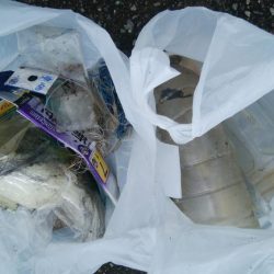 清掃活動：♡ハゼ釣りは楽しいデス♡