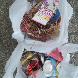 清掃活動：14匹Get！チヌ・キビレ(^^…