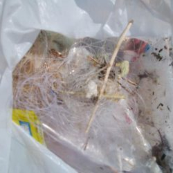 清掃活動：ライトゲーム(^^)楽しいデス♡…