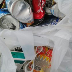 清掃活動：釣り日和(^^)大漁