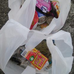 清掃活動：(^^)一日中！のんびりハゼ釣り…