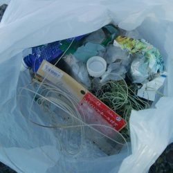 清掃活動：釣り日和(^^)