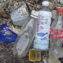 清掃活動：五月のバス釣り