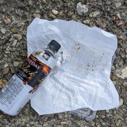 清掃活動：たけのこ狩り