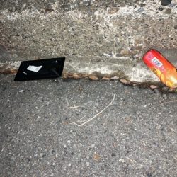 清掃活動：メバリング